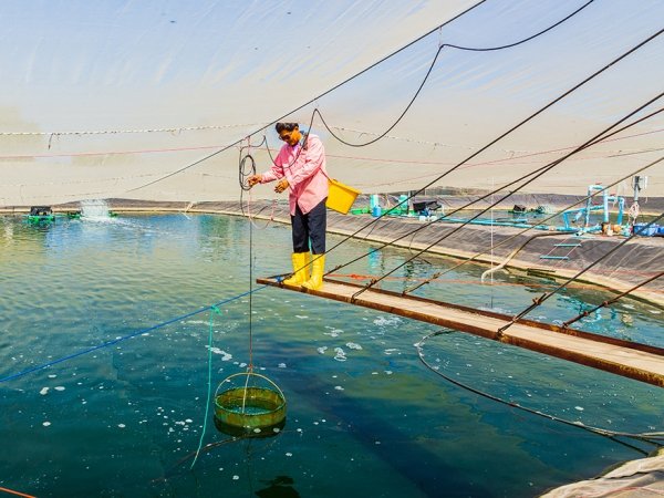 ผลิตภัณฑ์ชุมชน OTOP